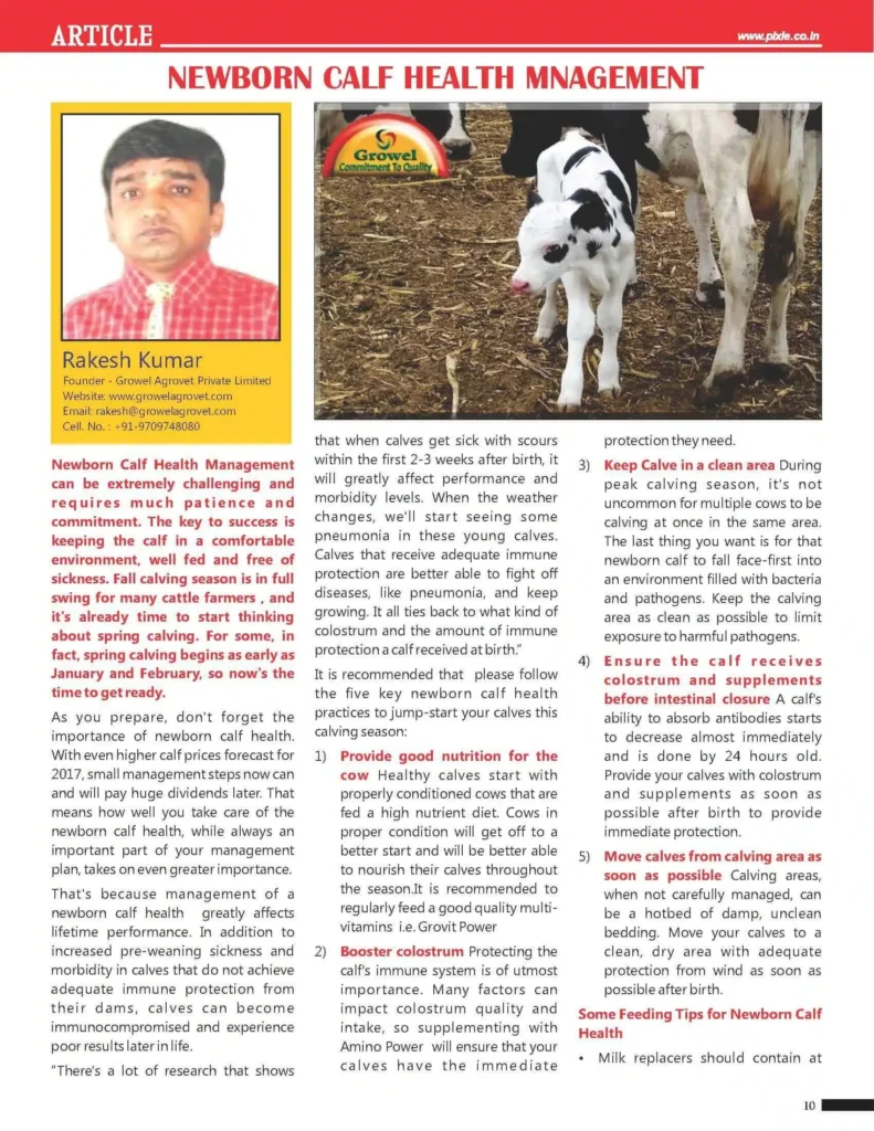 Newborn Calf Health Management, Article by Rakesh Kumar