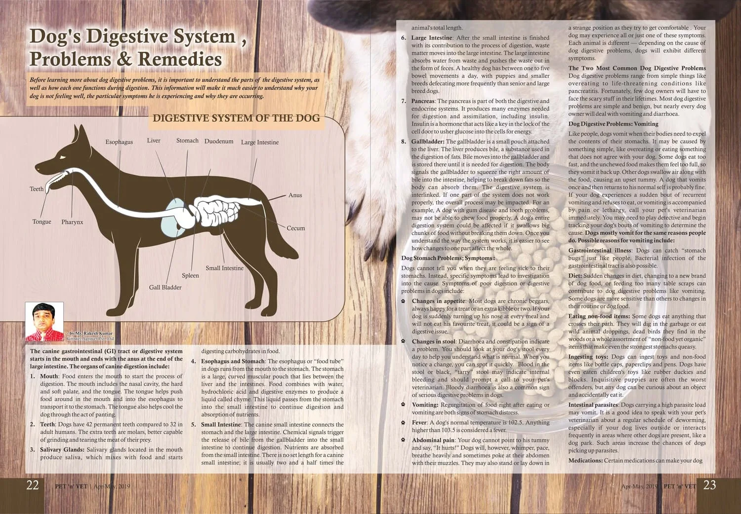 Dog’s Digestive System Problems and Remedies-Published in Pet ‘n’ Vet Magazine :Apr-May-19