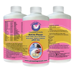 Amino Power - A combination of 46 Amino Acids, Vitamins, and Minerals for Growth and Immunity of Pet Birds