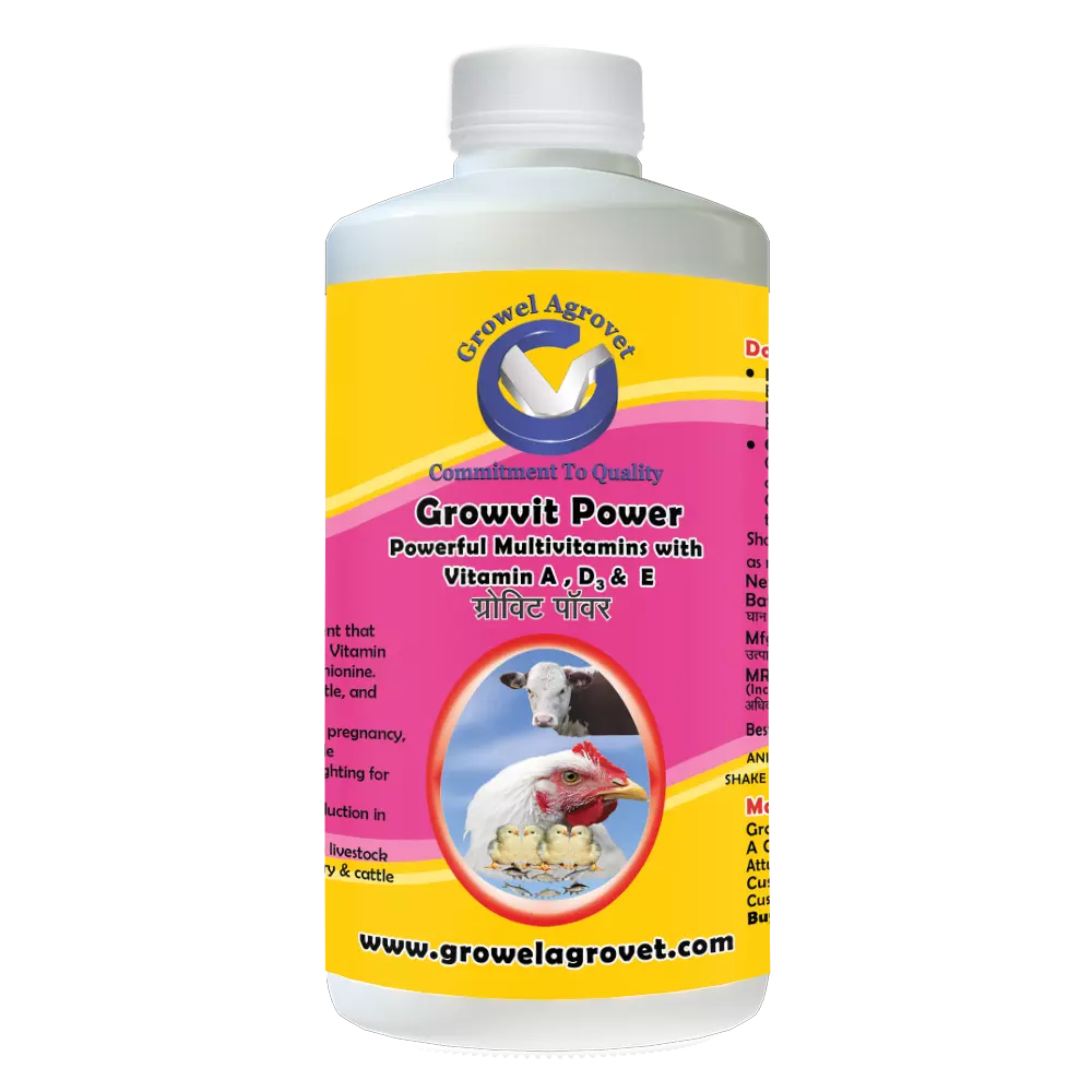Growvit Power - A Powerful Multivitamins (Vitamin AD3E) for Pet Birds - Image 2