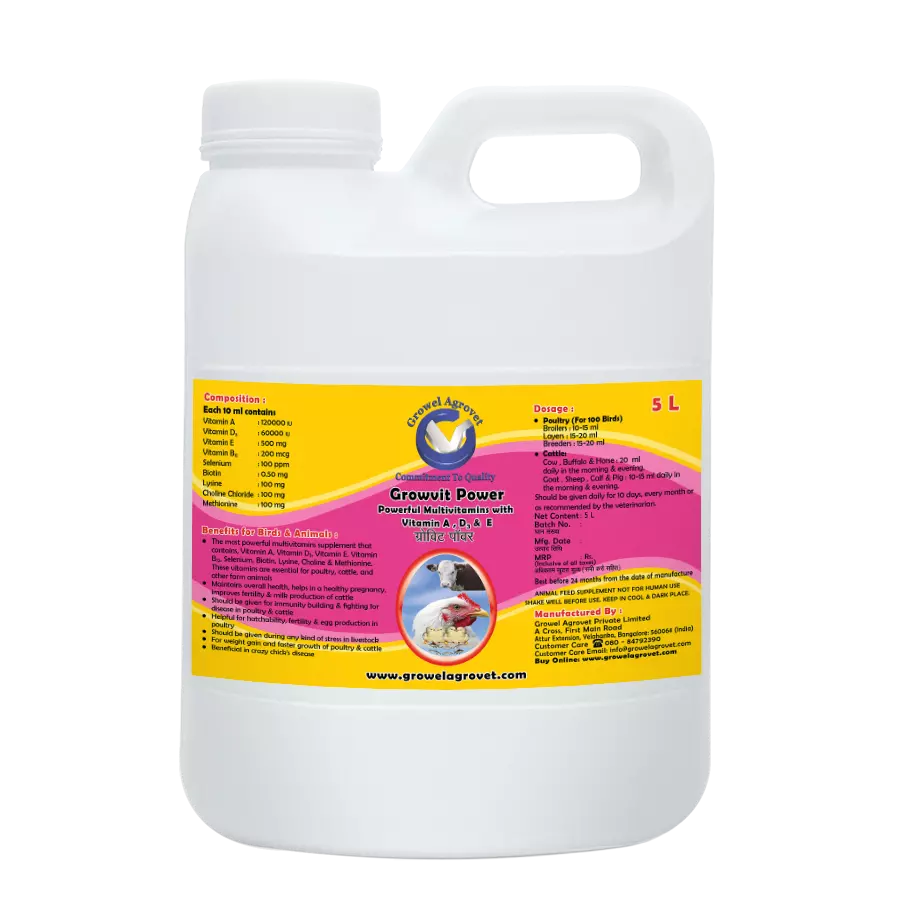 Growvit Power - A Powerful Multivitamins (Vitamin AD3E) for Pet Birds - Image 5