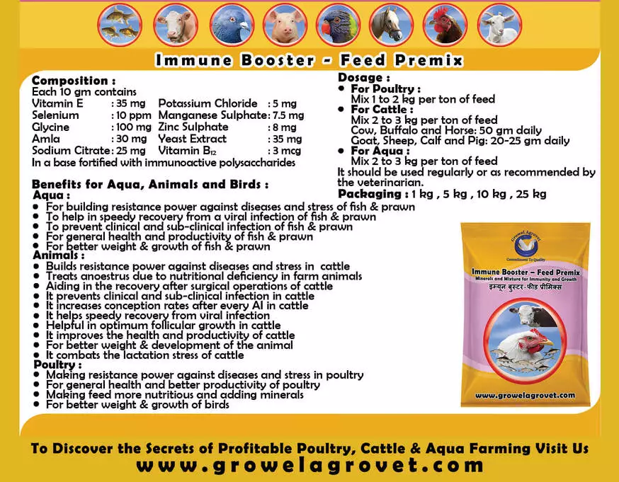 Immune Booster : Minerals Mixture for Immunity - Image 3