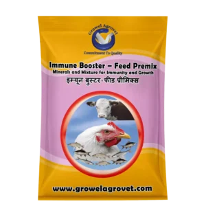 Immune Booster Feed Premix: Minerals & Mixture for Immunity & Growth for Poultry