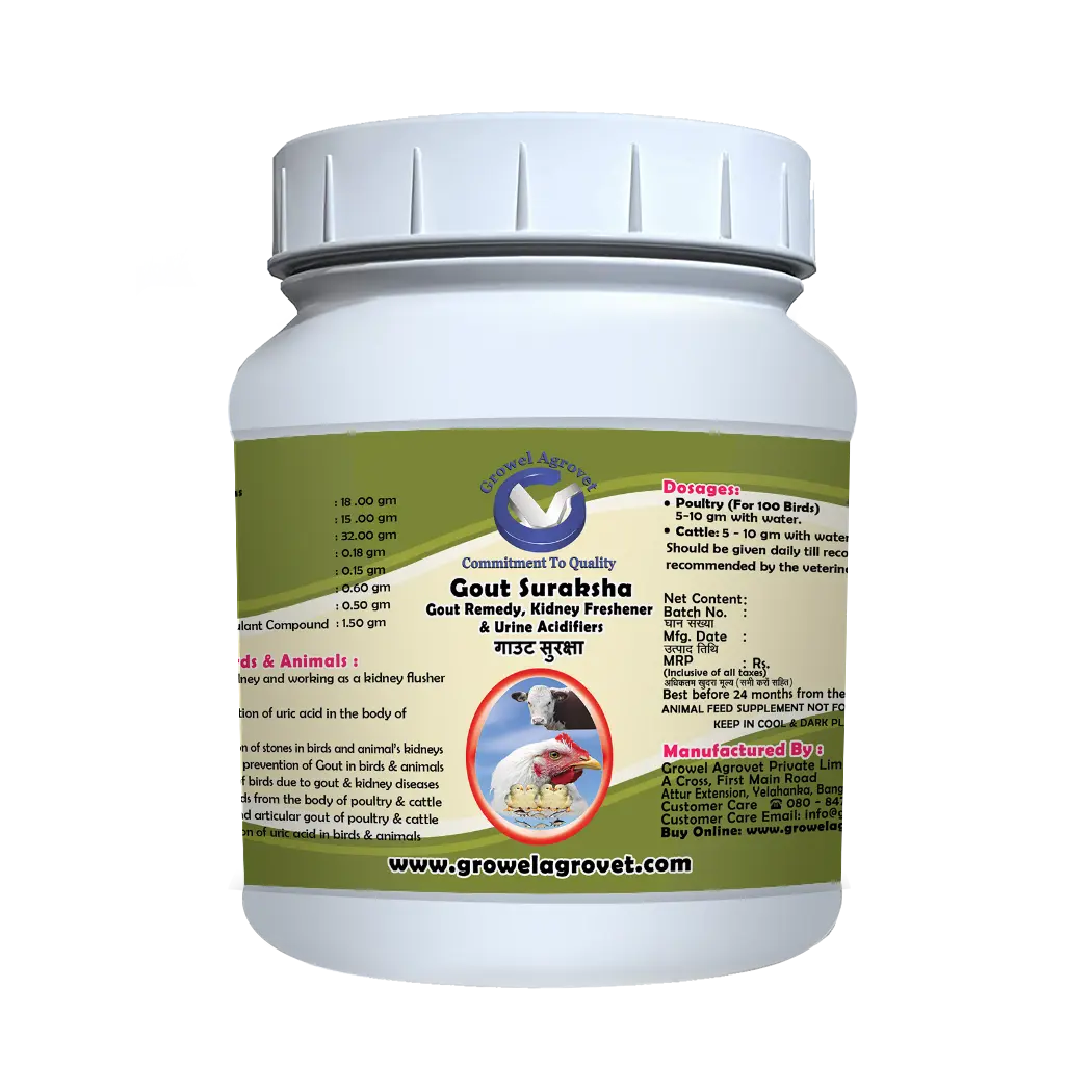 Gout Suraksha - Gout Medicine, Kidney Freshener & Urine Acidifiers - Image 4