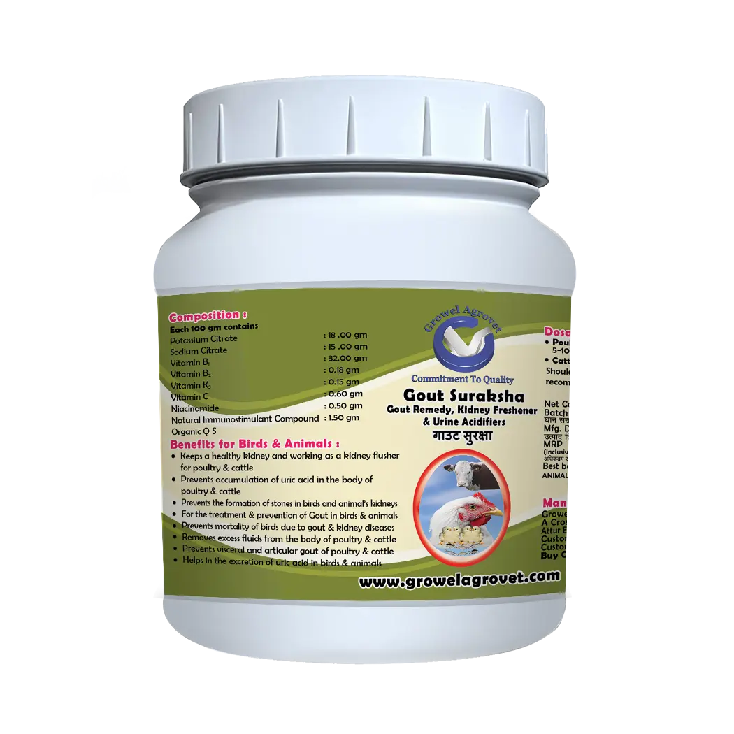 Gout Suraksha - Gout Medicine, Kidney Freshener & Urine Acidifiers - Image 2