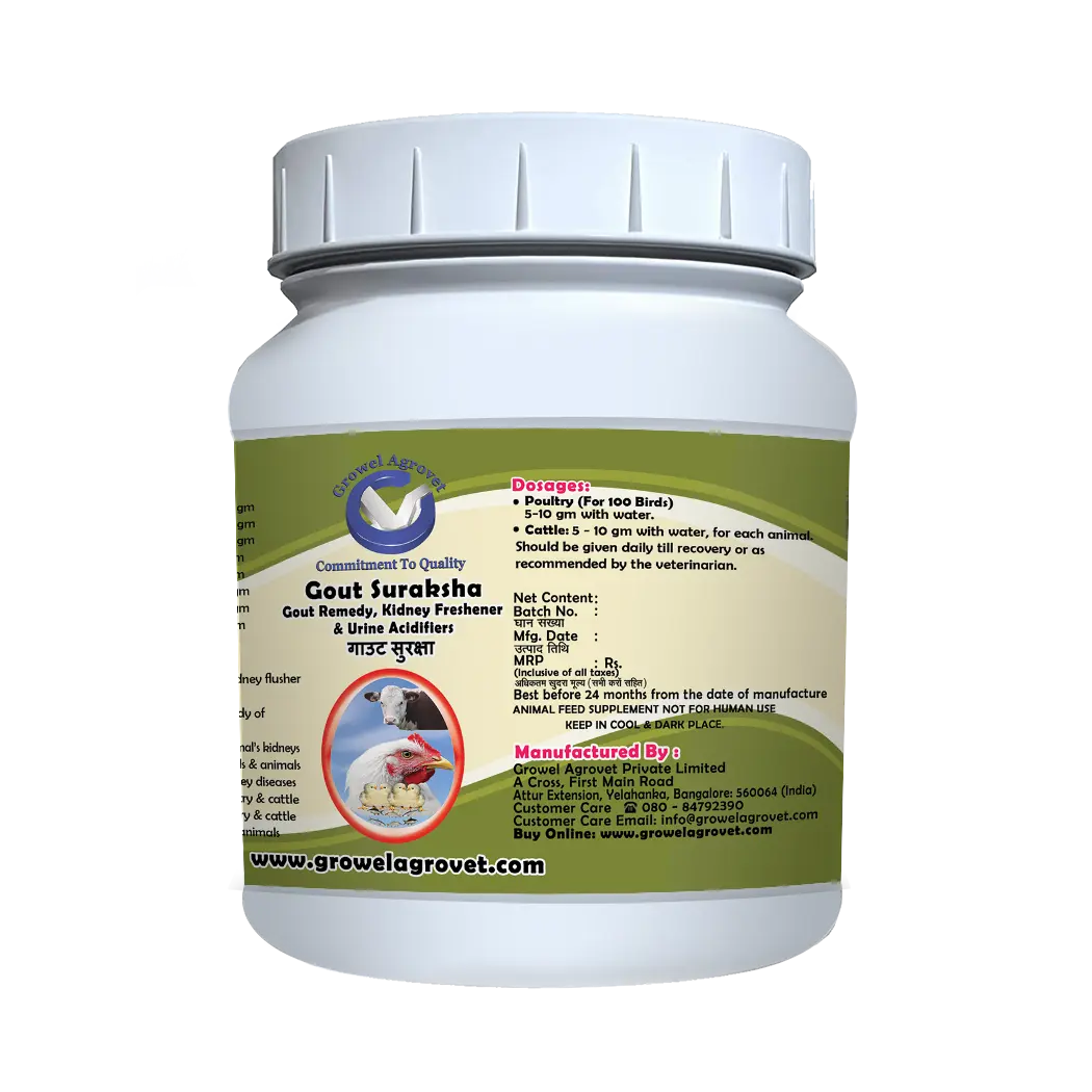 Gout Suraksha - Gout Medicine, Kidney Freshener & Urine Acidifiers - Image 3