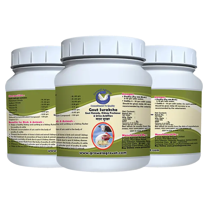 Gout Suraksha - Gout Medicine, Kidney Freshener & Urine Acidifiers