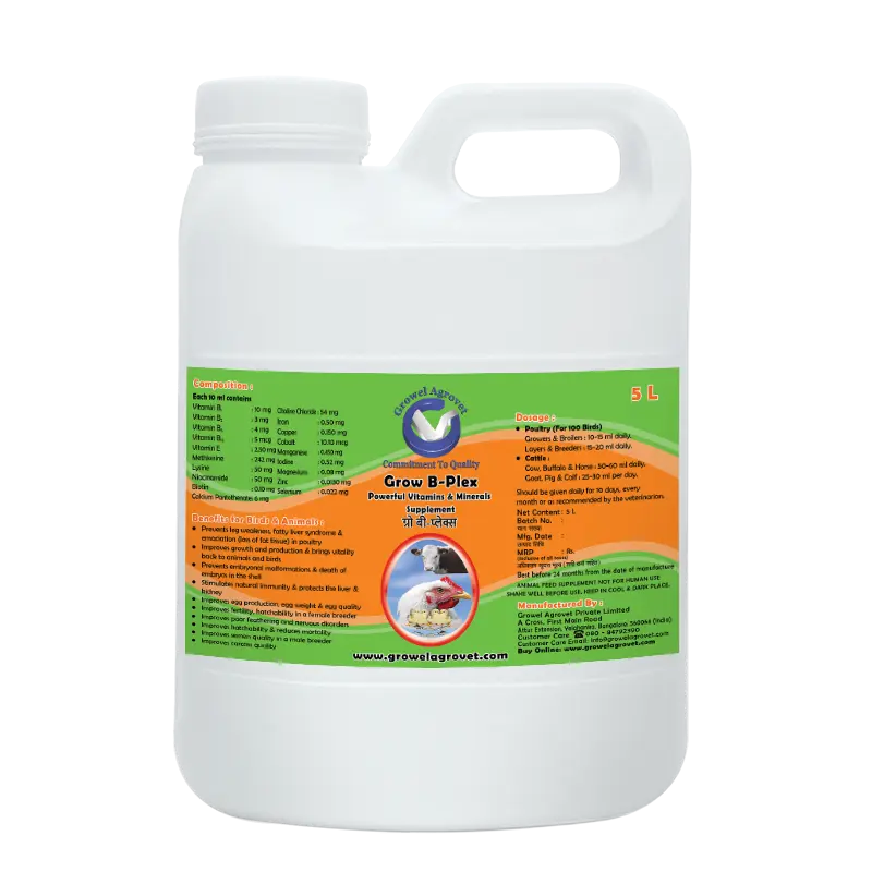 Grow B-Plex Veterinary Supplement by Growel Agrovet - 5 ltr